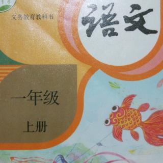 一年级上册~两只羊