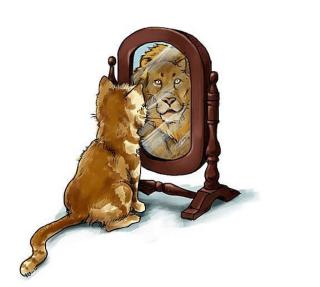 狮子照镜子