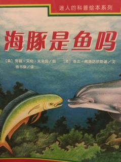 迷人的科普绘本15《海豚🐬是鱼🐟吗》