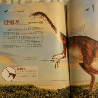 20180825恐龙星球-重返侏罗纪4