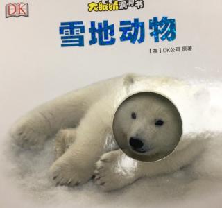 ☃️《雪地动物》🐯🐧🐬