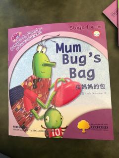 Mum bug's bag