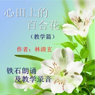 【心田上的百合花】作者：林清玄 ；铁石朗诵及教学