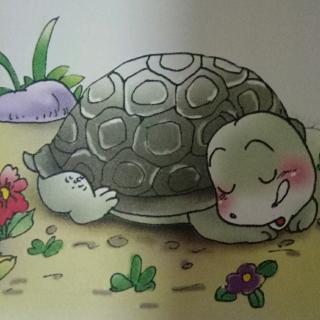 乌龟妈妈的快乐