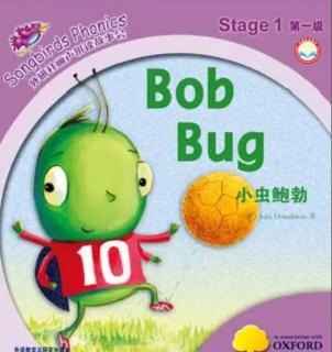 Bob bug