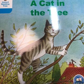 a cat in the tree