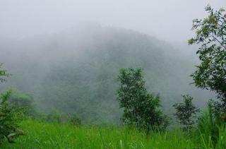 山雨