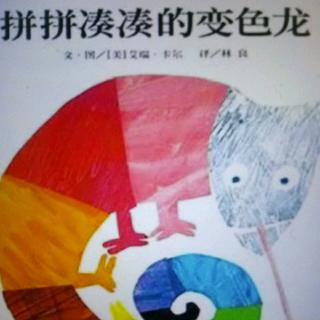 卡蒙加幼教集团——禹香苑幼儿园——刘老师《拼拼凑凑的变色龙》