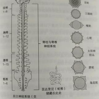 00唤醒昆达里尼介绍