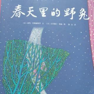 陈毅轩讲绘本故事《春天里的野兔》