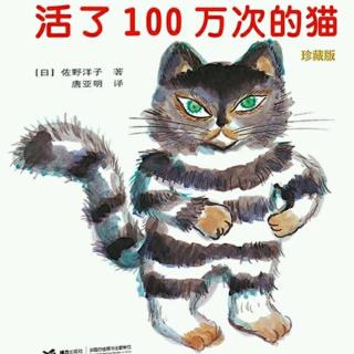 【绘本故事527】——《活了100万次的猫💭》