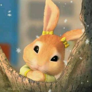 亲子乐园赵芳老师分享睡前故事《奇幻森林之异想天开的小兔子》