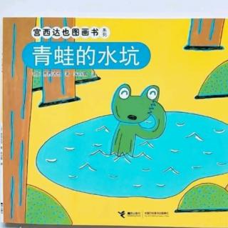 【242】Windy讲故事-《青蛙的水坑》