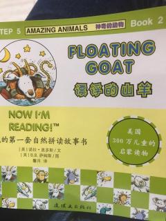 floating goat20180828