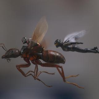 《蚁人2:黄蜂女现身》，漫威出品的首部浪漫爱情片