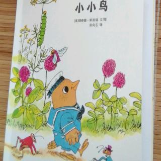 斯凯瑞双语5～小小鸟