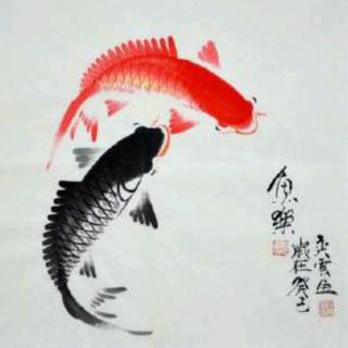 父亲是一条鱼🐟