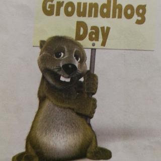 groundhog