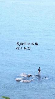 海底小纵队……黄腹海蛇