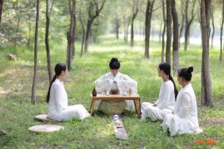 《日日是好日》第十一章.一期一会（中）