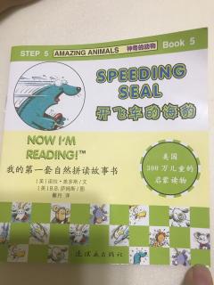 speeding seal20180831