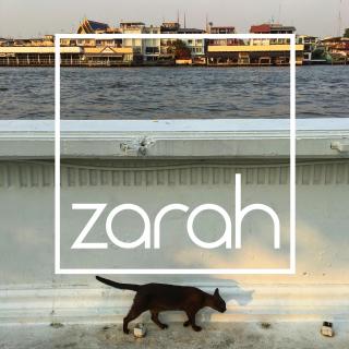 Traveling cat 2018zhanglin@zarah music