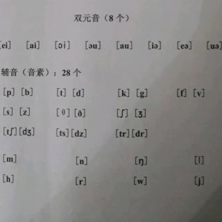 28个辅音因素