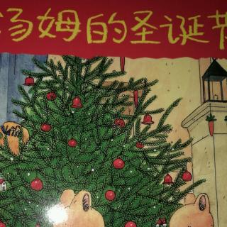 汤姆的圣诞节🎄