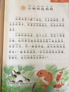 《小蝌蚪找妈妈》5遍