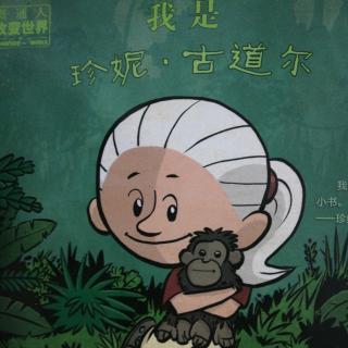 我是珍妮·古道尔(《普通人改变世界》系列)