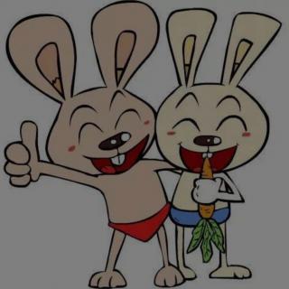 兔子两兄弟