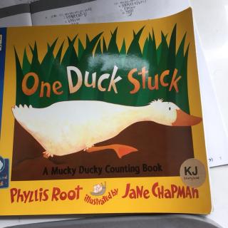 One duck stuck