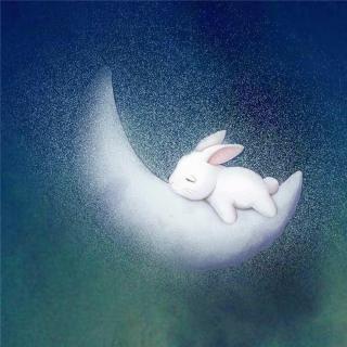 睡前故事|一只想奔上月亮的小兔子