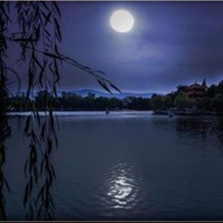 维港泊人诗歌《打捞深秋的月亮》