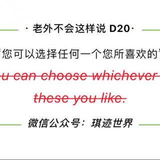 【老外不会这样说】D20: 你喜欢哪个选哪个...