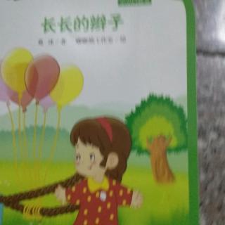 长长的辫子