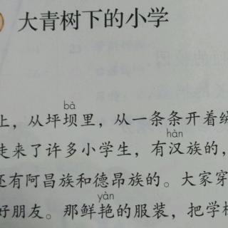 課文朗讀《大青樹下的小學》