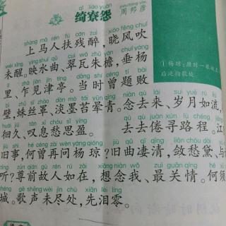 《绮竂怨》周邦彦 诵读 朱哲群