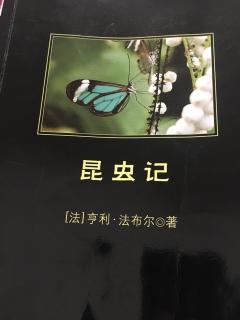 蛛网中的几何学