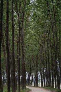 走遍世界 旅游口语 机上广播 纯语音