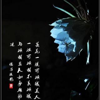 【1858】 昙花一现，只为韦陀 古风仙侠  虐恋苦情