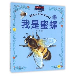 【175】2018.09.04《小小自然迷：我是蜜蜂🐝》