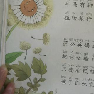 《植物妈妈有办法》