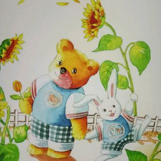阳光宝宝幼儿园第117期《兔子和熊不一样》