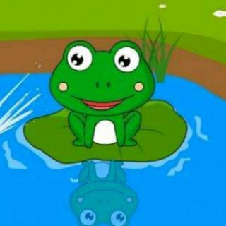 《跳水冠军小青蛙》