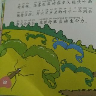 十万个为什么《百岁兰的叶子为什么百年不落》