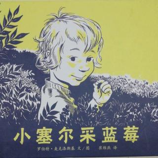 《小塞尔采蓝莓》