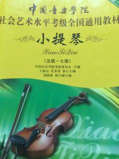 小提琴曲：新春乐