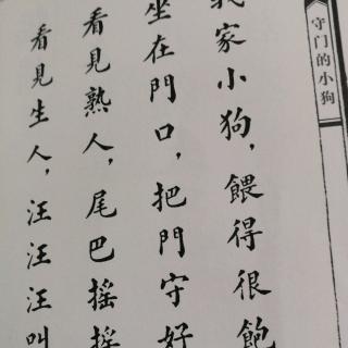 暮省——守门的小狗🐶