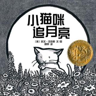 瓜瓜姐姐讲故事《小猫咪追月亮》